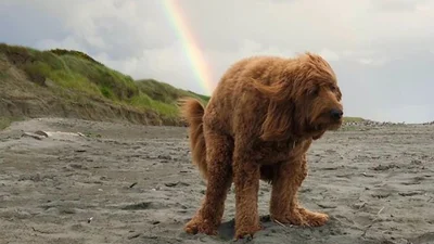 Упоротые фото, на заднем плане которых творится что-то непонятное