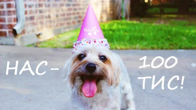 Люкс ФМ побил свой рекорд на Youtube - теперь нас 100 тысяч