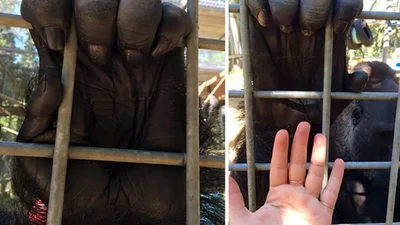 Эти фото доказывают, что привычные нам вещи намного больше, чем мы себе представляли