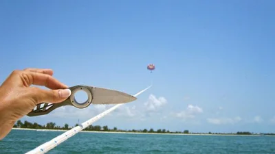 Неочікувані та смішні фото, які люди знайшли на своїх телефонах, хоча і не робили їх