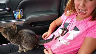 Не парся, судячи з фото, у цих людей деньок видався набагато гіршим, аніж у тебе