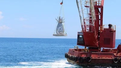 Современное искусство: музей во Флориде разместили прямо под водой
