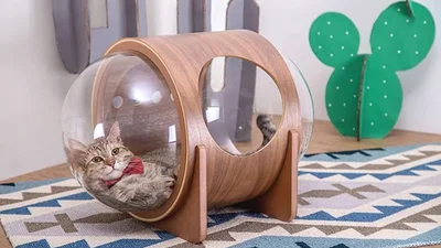 Для котів створили круті будиночки, аби малі змогли себе відчути космонавтами