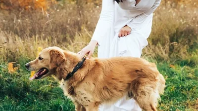 Нова фотосесія Соломії Вітвіцької гарантовано тобі підніме настрій