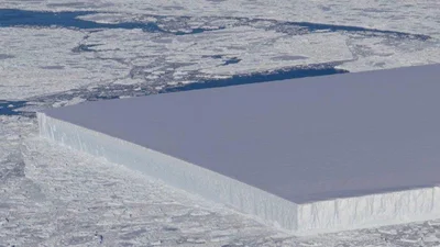 Пінгвіни постарались: в Антарктиці виявили айсберг ідеальної форми