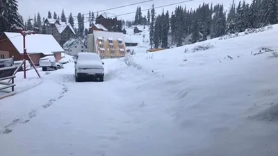 Острим лыжи: склоны горы Драгобрат засыпало снегом