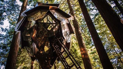 Отель в форме шишки - сказочное сооружение, в котором можно заночевать посреди леса