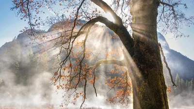 Weather Photographer 2018: в финал конкурса попал снимок украинского фотографа