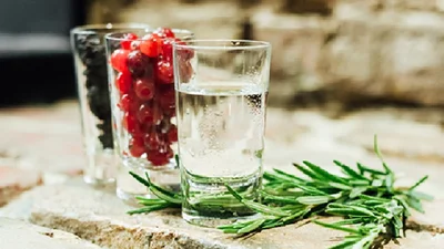 Європейські споживачі переходять на нашу горілку