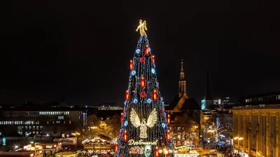 В Германии установили самую высокую елку - вот как выглядит эта рождественская красавица