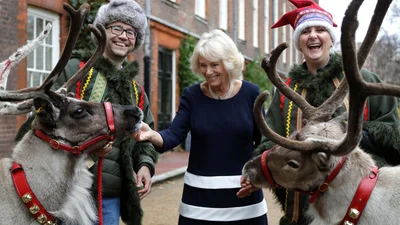 Ось як Єлизавета ІІ, Кейт Міддлтон та герцогиня Камілла прикрасили свої різдвяні ялинки