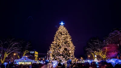 У Львові відкрили головну ялинку, і вона - справжня зимова красуня