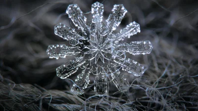 Невероятная красота: первые в мире фото снежинок