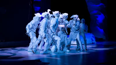 10 причин, почему стоит обязательно сходить на шоу "Winterra. Легенда казкового краю"