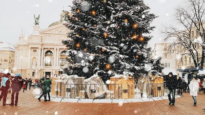 Львов стал лучшим городом по качеству жизни в Украине