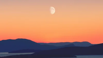 Исторические кадры: на Луне посадили растение и оно проросло