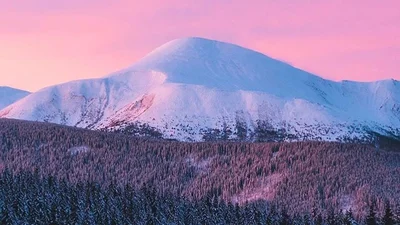 Гордимся: Украина попала в рейтинг самых инстаграмных стран