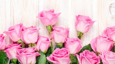 Вихідні у березні 2019: чи буде 8 березня вихідним в Україні