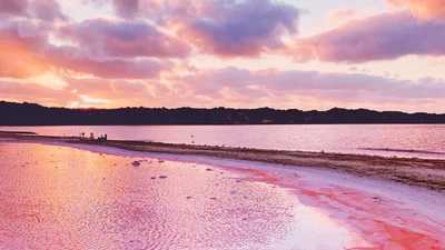 Уникальная розовая лагуна в Австралии выглядит космически красиво и нереально одновременно