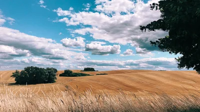 Современное искусство: опубликовали 10 самых крутых фото 2019 года, сделанных на iPhone