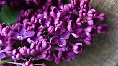 Вихідні у травні 2019: скільки вихідних буде в Україні