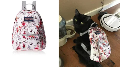 Люди ржуть з недолугих покупок онлайн, які геть не такі, як на фото