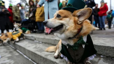 День святого Патрика 2019 в мире: море пива, зеленые реки и грандиозные гуляния