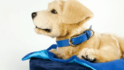 Американцы создали робопса, который лечит от депрессии - его нужно гладить