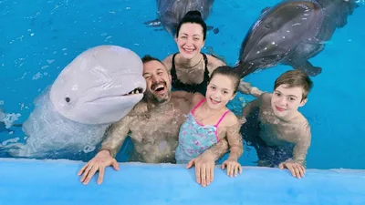Сергей Бабкин вместе с беременной женой и детьми радостно позирует в кругу дельфинчиков