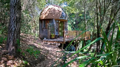 Обычная избушка посреди леса стала самым популярным туристическим жильем, и вот почему