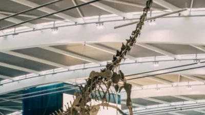 В аэропорту Хитроу поселился динозавр-вегетерианец, которому уже более 155 млн лет
