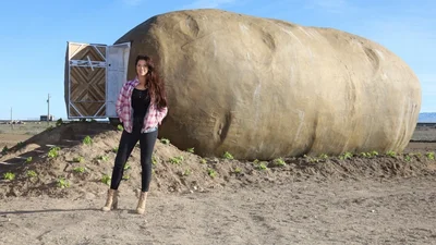 Американці здають в оренду будинок в формі велетенської картоплини - ти захочеш там пожити