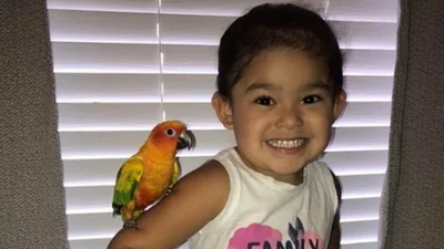 Вирусное видео: девочка научила своего попугая нападать на всех, на кого она кричит