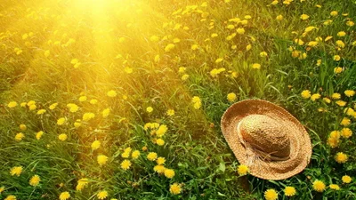 Вихідні у червні 2019: скільки вихідних буде в Україні