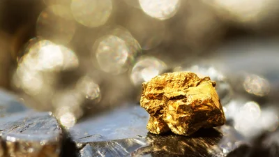 Семья из Австралии прямо посреди прогулки нашла золотой камень, который сделал их богачами
