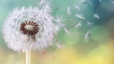 Мотивуючі та надихаючі цитати про життя