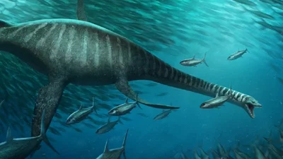 Ученые нашли останки самой большой рептилии, которая похожа на Лох-Несское чудовище