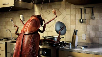 Ученые раскрыли новый факт о тараканах, и теперь их будут бояться еще больше