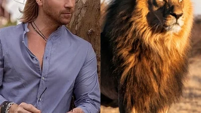 Параллельная реальность: украинские звезды стали котиками