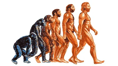 Вчені показали, як насправді виглядали предки людей, і це фото – теорія Дарвіна наяву