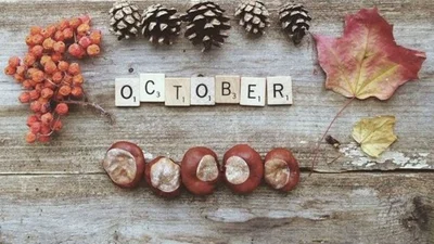 Вихідні у жовтні 2019: скільки вихідних буде в Україні