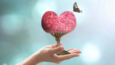 5 интересных фактов о любви, которые подтверждены наукой