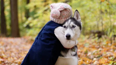Создали машину для объятий, в которой можно почувствовать себя любимым