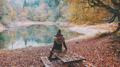 Гороскоп на ноябрь 2019 для всех знаков зодиака