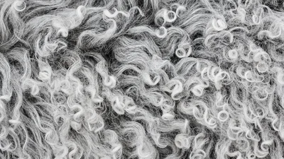 Український бренд взуття випустив “волохаті” кросівки