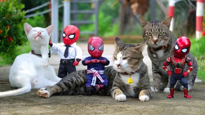 Художник добавил к фото с котиками изображение Человека-паука – это выглядит очень смешно