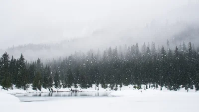 Видео дня: пока в Украине аномально теплая зима, Канаду накрыло бешеными снегопадами