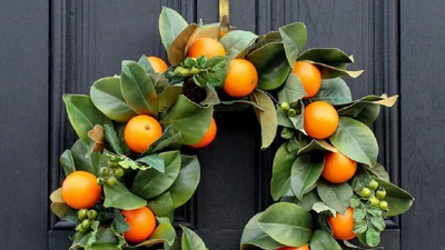 Різдвяні вінки на двері: ідеї, які легко повторити та зробити своїми руками