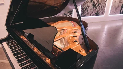 «Це капець»: Вантажники випадково розбили ексклюзивне фортепіано відомої піаністки