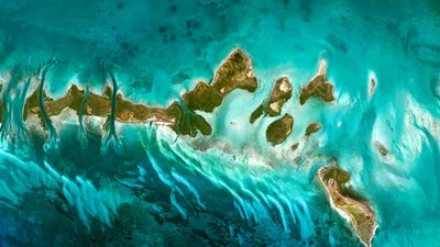 Компания Google показала новые фото Земли, что были сделаны из космоса – они нереальные